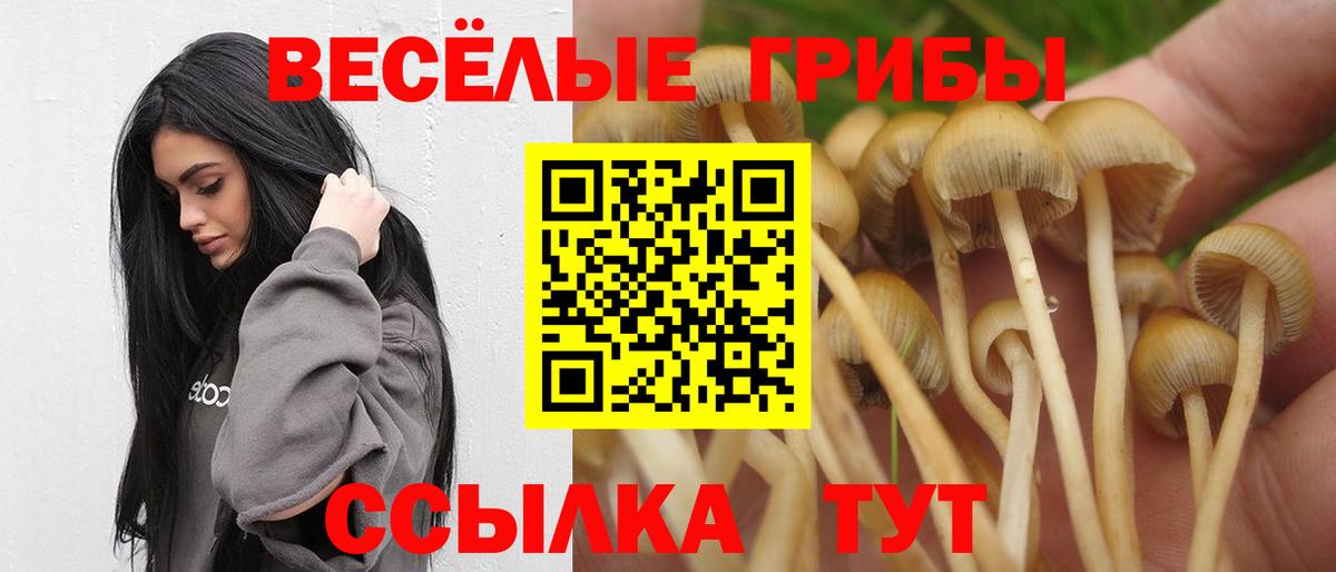 Галлюциногенные грибы GOLDEN TEACHER  Вход с VPN  Семилуки 