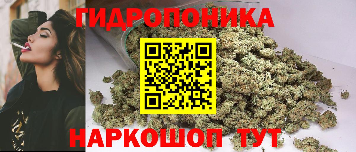 Шишки марихуана Bruce Banner  Каннабис индика  Конопля VHQ  Вход с VPN  Шишки марихуана семена  Семилуки 